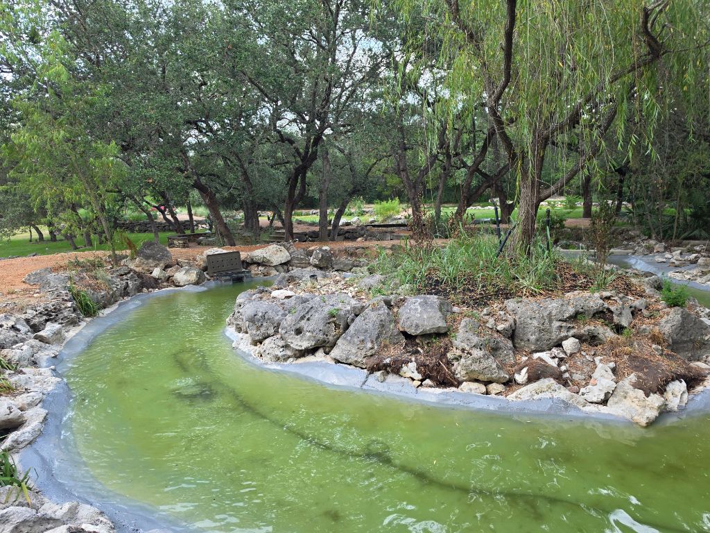 Pond Renovation After – Renovated pond with clear water and cleaned rocky island