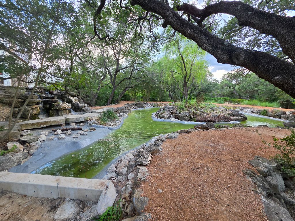 Pond Renovation After – Wide angle view of restored winding pond with oak tree canopy