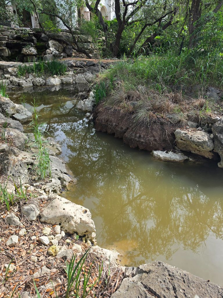 Pond Renovation Before – Murky water and neglected shoreline